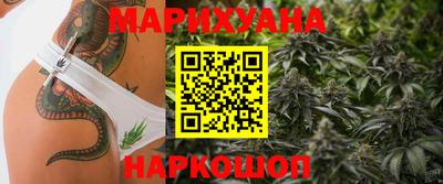 сатива Аргун