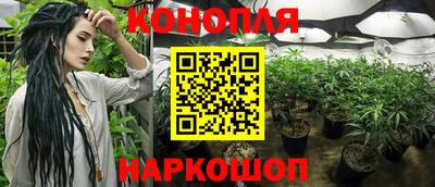 сатива Аргун