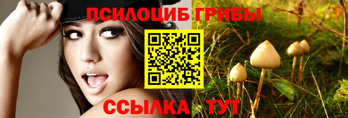 Галлюциногенные грибы мицелий  Вход с VPN  Волжский  наркотики  Галлюциногенные грибы Magic Shrooms 